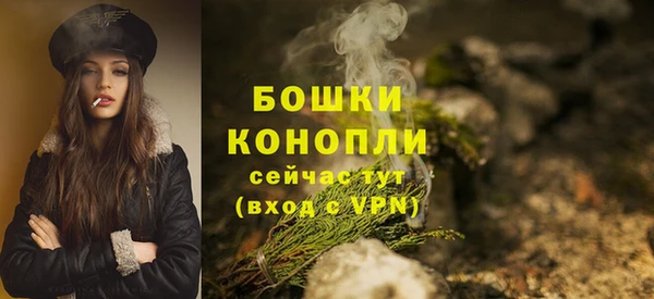 прущие крисы Осинники