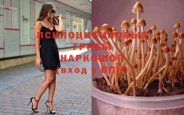 прущие крисы Осинники