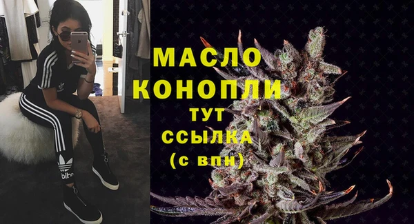 прущие грибы Няндома