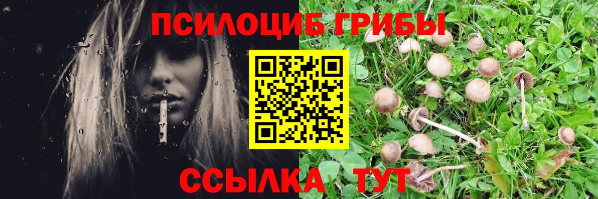 Галлюциногенные грибы Magic Shrooms  наркошоп  Апатиты  Псилоцибиновые грибы Magic Shrooms  Вход с VPN 
