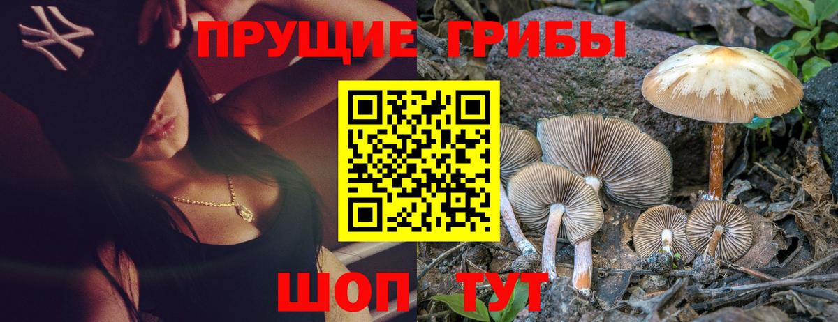 Галлюциногенные грибы Magic Shrooms Апатиты