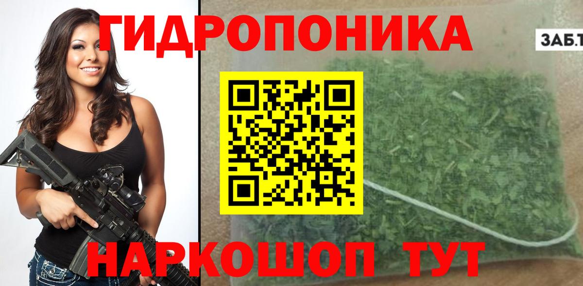 Марихуана SATIVA & INDICA  Апатиты  Бошки Шишки семена  Бошки Шишки конопля 